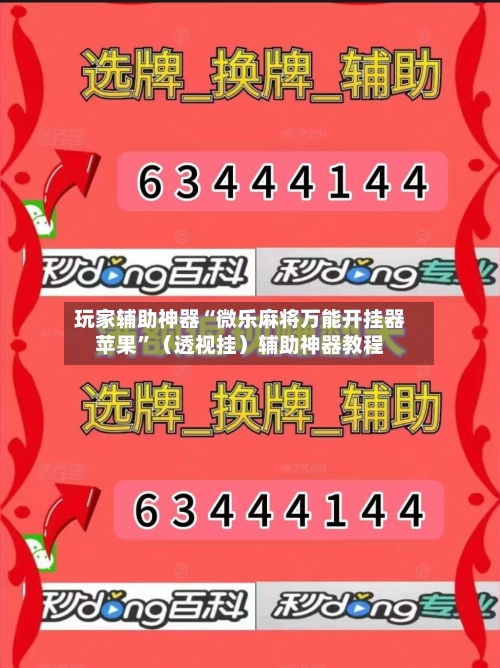玩家辅助神器“微乐麻将万能开挂器苹果”（透视挂）辅助神器教程-第3张图片