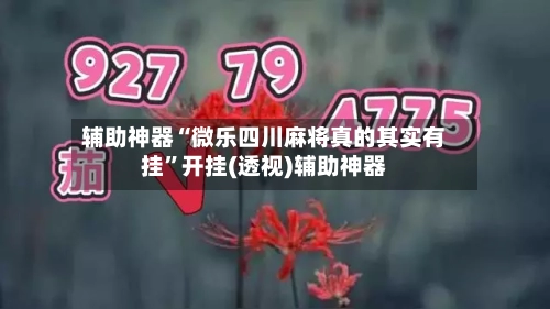 辅助神器“微乐四川麻将真的其实有挂”开挂(透视)辅助神器-第2张图片