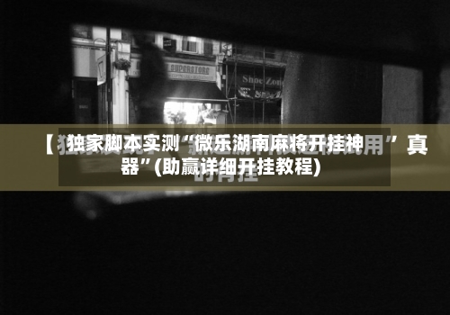 独家脚本实测“微乐湖南麻将开挂神器”(助赢详细开挂教程)-第3张图片