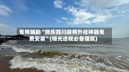专用辅助“微乐四川麻将外挂神器免费安装”(曝光透视必备猫腻)-第2张图片