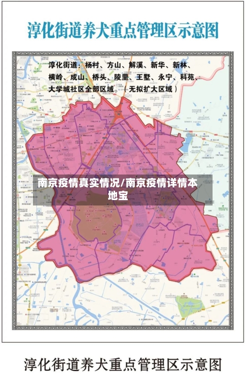 南京疫情真实情况/南京疫情详情本地宝
