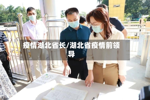 疫情湖北省长/湖北省疫情前领导-第2张图片