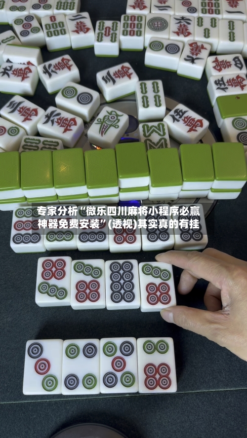 专家分析“微乐四川麻将小程序必赢神器免费安装	”(透视)其实真的有挂-第3张图片
