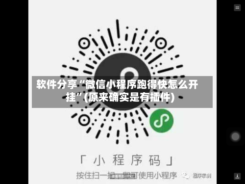 软件分享“微信小程序跑得快怎么开挂”(原来确实是有插件)-第3张图片