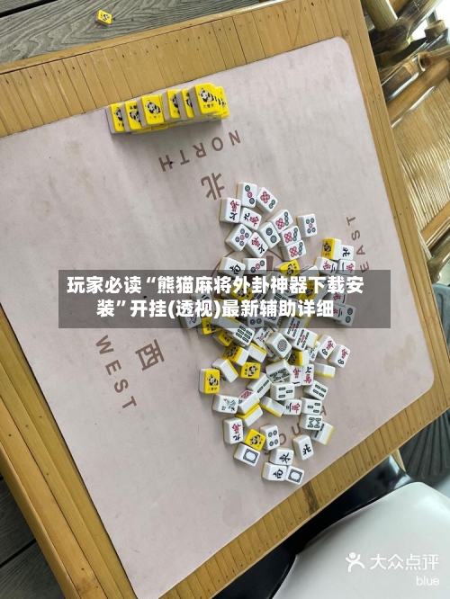 玩家必读“熊猫麻将外卦神器下载安装”开挂(透视)最新辅助详细-第2张图片