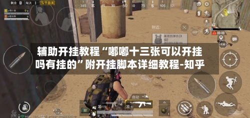 辅助开挂教程“嘟嘟十三张可以开挂吗有挂的”附开挂脚本详细教程-知乎-第3张图片