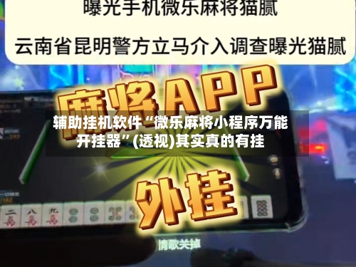 辅助挂机软件“微乐麻将小程序万能开挂器”(透视)其实真的有挂-第3张图片