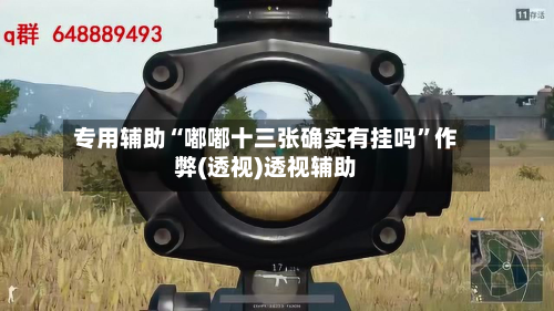 专用辅助“嘟嘟十三张确实有挂吗”作弊(透视)透视辅助-第2张图片