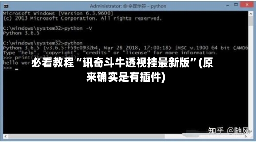 必看教程“讯奇斗牛透视挂最新版”(原来确实是有插件)-第2张图片