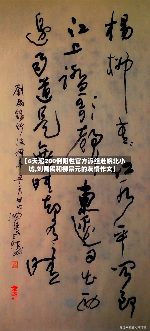 【6天超200例阳性官方派组赴皖北小城,刘禹锡和柳宗元的友情作文】