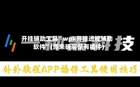开挂辅助工具“wpk开挂透视辅助软件	”(原来确实是有插件)-第2张图片