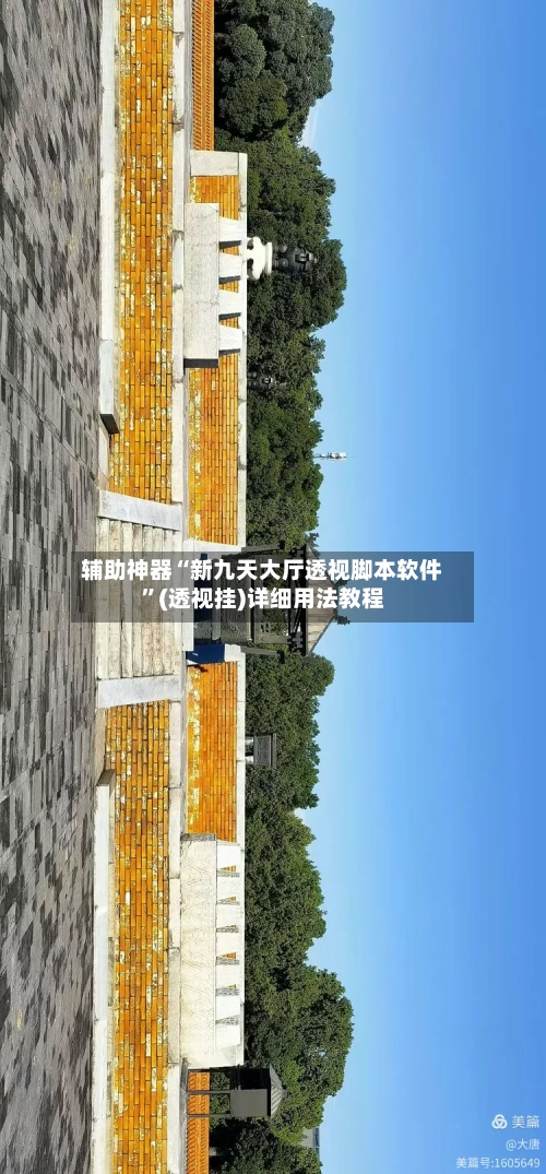 辅助神器“新九天大厅透视脚本软件”(透视挂)详细用法教程