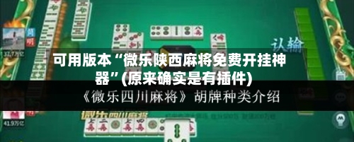 可用版本“微乐陕西麻将免费开挂神器”(原来确实是有插件)-第3张图片