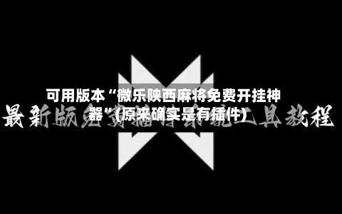可用版本“微乐陕西麻将免费开挂神器	”(原来确实是有插件)-第2张图片