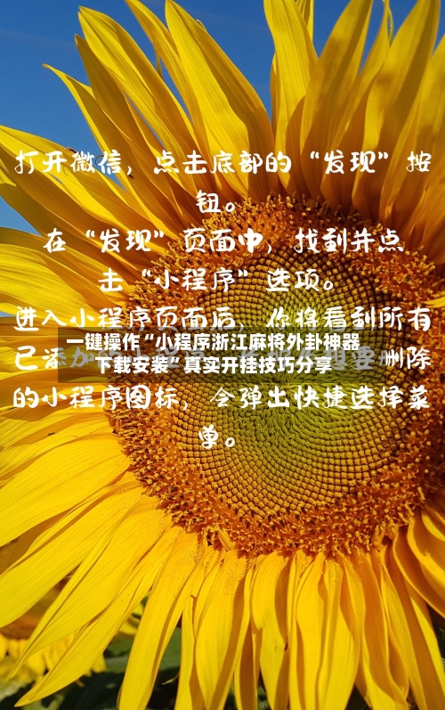 一键操作“小程序浙江麻将外卦神器下载安装	”真实开挂技巧分享-第2张图片