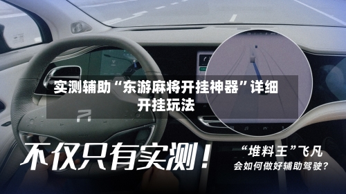 实测辅助“东游麻将开挂神器”详细开挂玩法-第2张图片