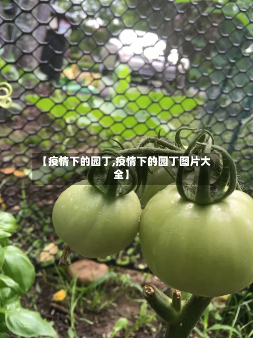 【疫情下的园丁,疫情下的园丁图片大全】-第2张图片