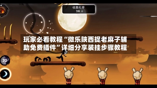 玩家必看教程“微乐陕西捉老麻子辅助免费插件	”详细分享装挂步骤教程-第2张图片
