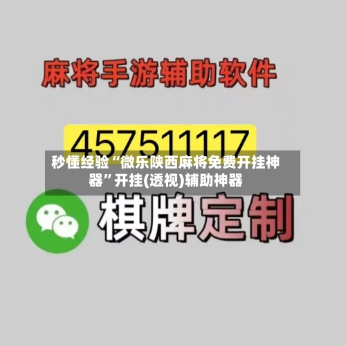 秒懂经验“微乐陕西麻将免费开挂神器”开挂(透视)辅助神器-第2张图片