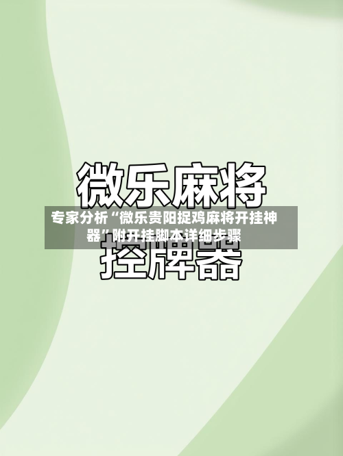 专家分析“微乐贵阳捉鸡麻将开挂神器”附开挂脚本详细步骤-第2张图片