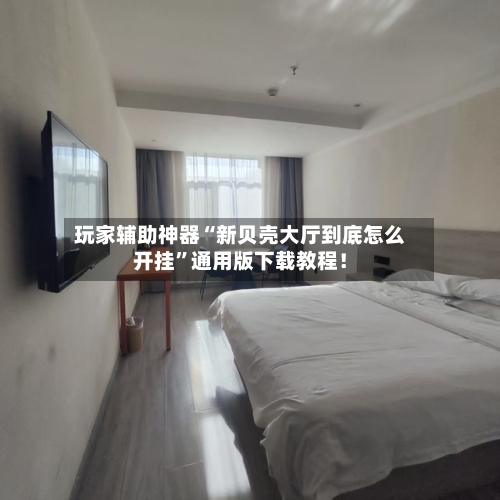 玩家辅助神器“新贝壳大厅到底怎么开挂”通用版下载教程！-第3张图片