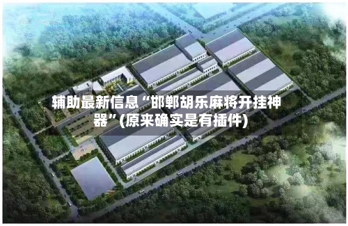 辅助最新信息“邯郸胡乐麻将开挂神器”(原来确实是有插件)-第2张图片