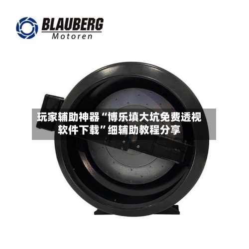 玩家辅助神器“博乐填大坑免费透视软件下载”细辅助教程分享
