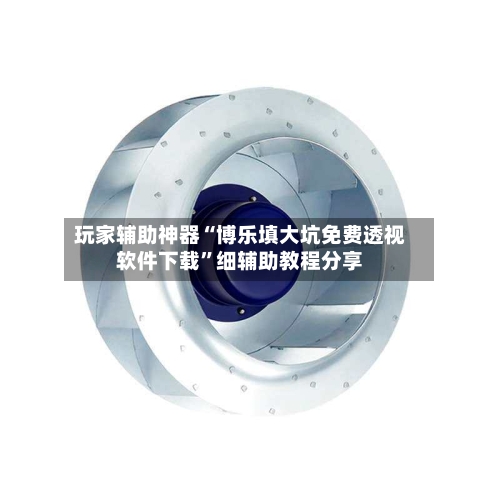 玩家辅助神器“博乐填大坑免费透视软件下载	”细辅助教程分享-第3张图片