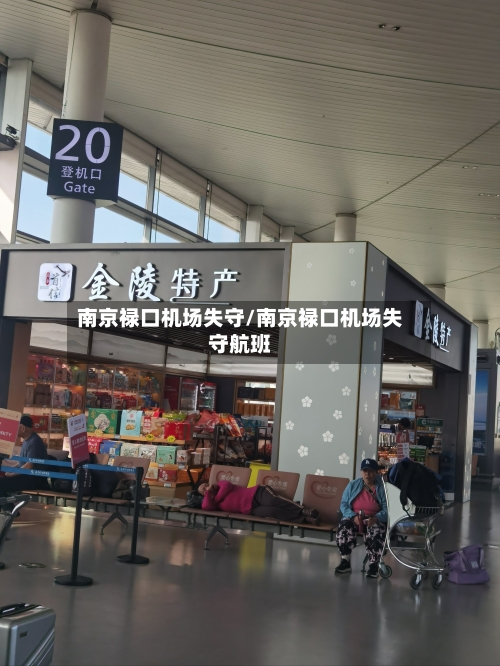南京禄口机场失守/南京禄口机场失守航班-第3张图片