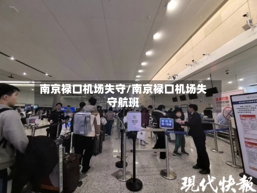 南京禄口机场失守/南京禄口机场失守航班