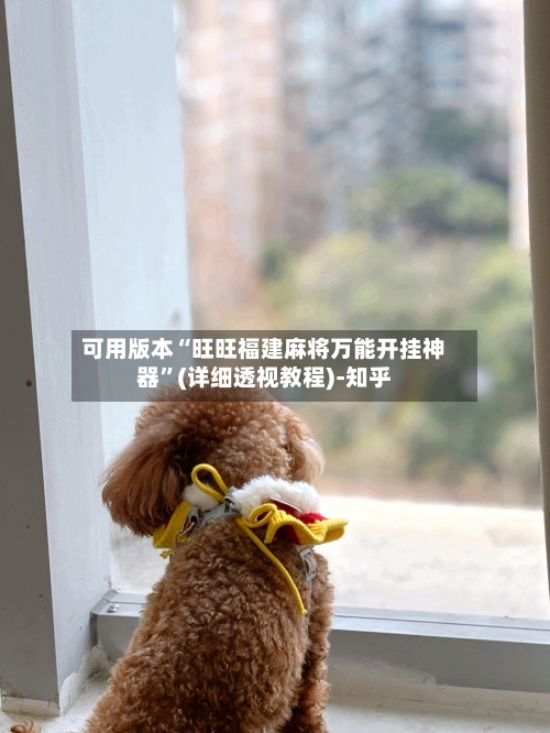 可用版本“旺旺福建麻将万能开挂神器”(详细透视教程)-知乎-第3张图片