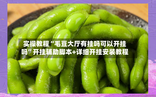 实操教程“毛豆大厅有挂吗可以开挂吗”开挂辅助脚本+详细开挂安装教程