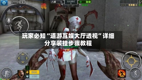玩家必知“道游互娱大厅透视”详细分享装挂步骤教程-第2张图片