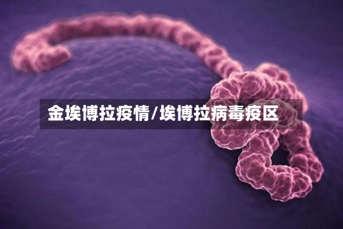 金埃博拉疫情/埃博拉病毒疫区