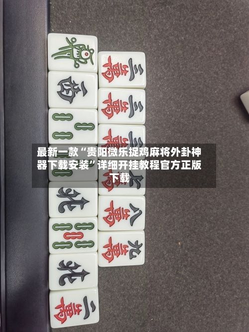 最新一款“贵阳微乐捉鸡麻将外卦神器下载安装”详细开挂教程官方正版下载-第2张图片