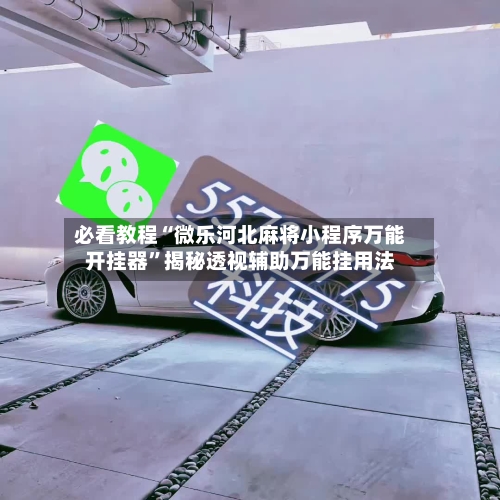 必看教程“微乐河北麻将小程序万能开挂器”揭秘透视辅助万能挂用法-第2张图片