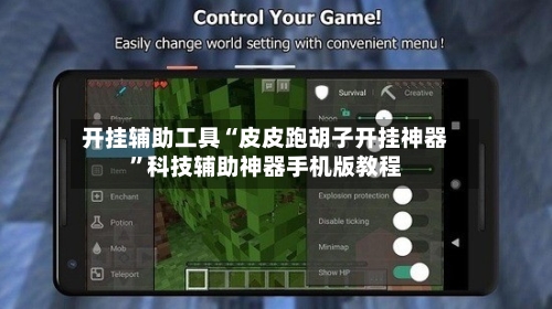 开挂辅助工具“皮皮跑胡子开挂神器”科技辅助神器手机版教程-第3张图片