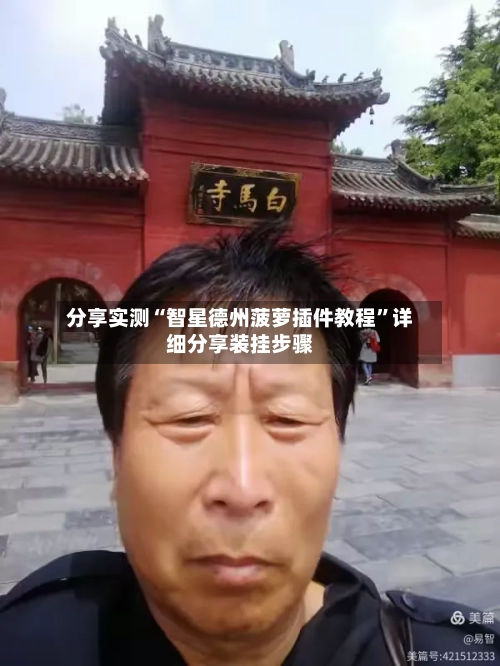 分享实测“智星德州菠萝插件教程”详细分享装挂步骤-第3张图片