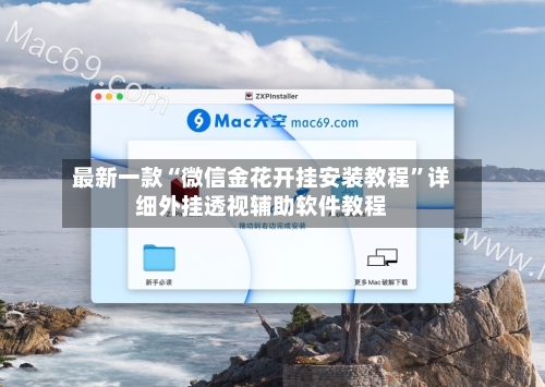 最新一款“微信金花开挂安装教程	”详细外挂透视辅助软件教程-第2张图片