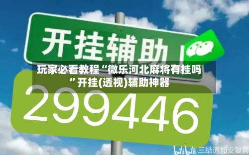 玩家必看教程“微乐河北麻将有挂吗”开挂(透视)辅助神器-第2张图片