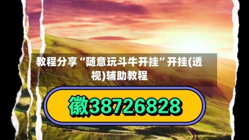 教程分享“随意玩斗牛开挂”开挂(透视)辅助教程-第3张图片
