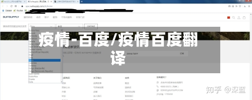 疫情-百度/疫情百度翻译
