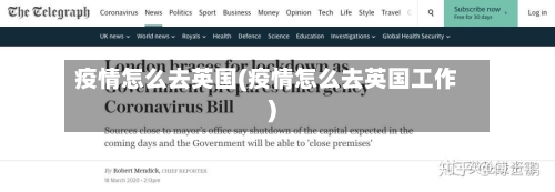 疫情怎么去英国(疫情怎么去英国工作)-第2张图片