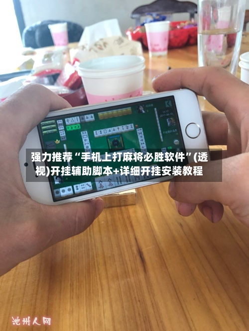 强力推荐“手机上打麻将必胜软件”(透视)开挂辅助脚本+详细开挂安装教程-第3张图片