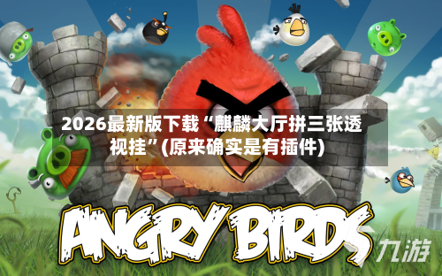 2026最新版下载“麒麟大厅拼三张透视挂”(原来确实是有插件)-第2张图片
