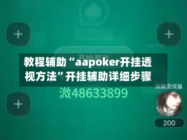 教程辅助“aapoker开挂透视方法	”开挂辅助详细步骤-第3张图片