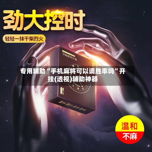 专用辅助“手机麻将可以调胜率吗”开挂(透视)辅助神器-第3张图片