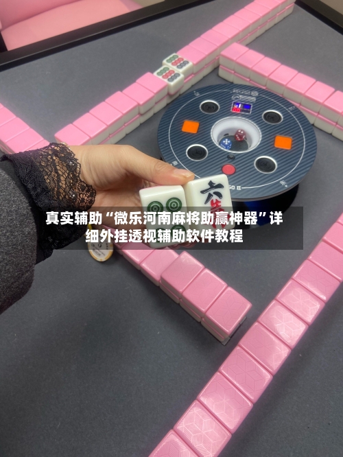 真实辅助“微乐河南麻将助赢神器	”详细外挂透视辅助软件教程-第2张图片