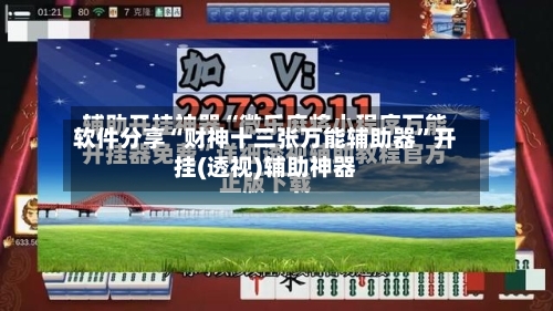 软件分享“财神十三张万能辅助器”开挂(透视)辅助神器-第2张图片