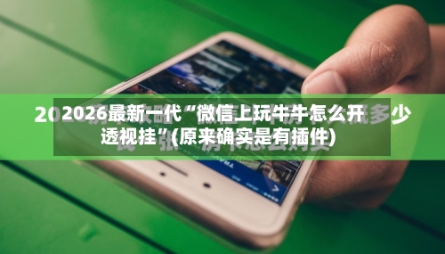 2026最新一代“微信上玩牛牛怎么开透视挂	”(原来确实是有插件)-第2张图片